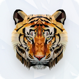 com.twodtwob.polymania