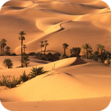 com.wallpaperdesertwallpaper.wallpaperhd