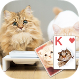 com.hipanda.solitaire.theme.lovelycats