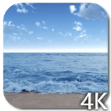 wavesinsea.bha.com