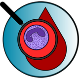 pl.shreqg2.sumator_hematologiczny