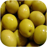 fars.ziton