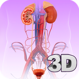com.visual3dscience.urinarysystempro