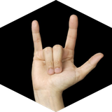 com.srdananjaya.handsignlanguage