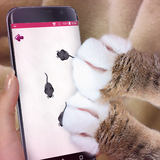 com.pokkerolli.cattoys