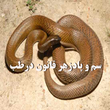com.ansari.semom