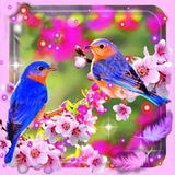 com.jotunheijm505.beautybirds