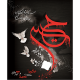 ir.mehdi.ziaratashura