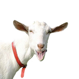 sound.com.goatsounds