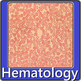 com.Doctor.hematology