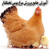 ir.toyoorkadeh.morgh