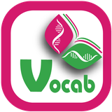 ir.b3b.app.vocabbox
