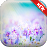 com.andromo.dev518376.app490268