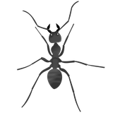 org.godotengine.theantcolony
