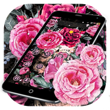 com.launcher.theme.t211812254