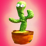 rashidi.app.cactus