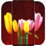 com.TulipWallpaper.flowerwallpaper.naturewallpaper.rosebackground