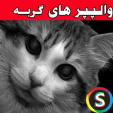 com.Sadroid.Photocat