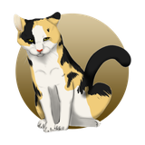 ir.appwork.livewallcat