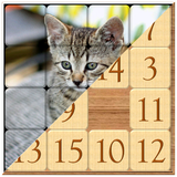 net.matdrucks.tilefunEssential