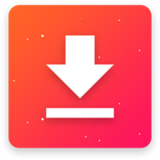 video.downloader.insta