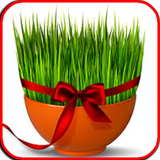 ir.arzanikamran.sabzeiaid