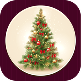 com.mahrooroid.christmasprofile