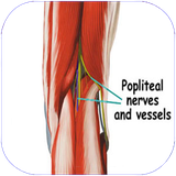 zemestan.asibhayezano