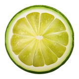 github.yaa110.piclice2