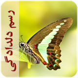 com.imnet.rasmedeldadegi