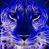 com.Infinity.neonanimals