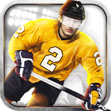 com.fermat.icehockey