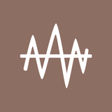 com.maxcom.vibrometer