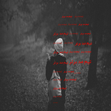 ir.galb.ddr