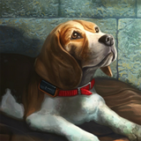 com.starodymovgaming.rescuelucy2