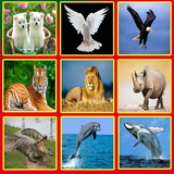 com.ram.animalsforkids