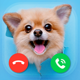 com.vectorm.videodogcalls