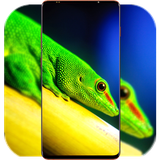 com.IguanaWallpaper.animalwallpaper.cuteanimalwallpaper.image