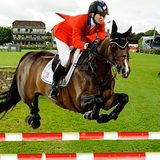 com.tigs.horseracing.horsejumping.horsegames.horserival.horsestunts.horseworld.showjumping.myhorse.horsehotel.horsestable