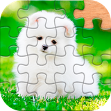 com.best.photo.apps.puzzles