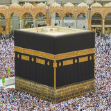 brilliantbee.mecca.wallpaper
