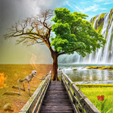 com.fekre9.Meditation