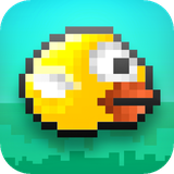 ir.abed.bird
