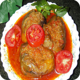 sahel.khoresht