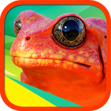 ir.tinasoft.amphibian