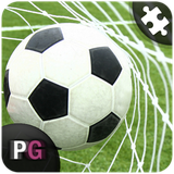 com.persiagraph.puzzroid2016.football