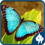 com.titan.butterflyjigsaw