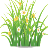 com.kaziwa.gool_giah