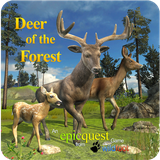 com.wildfoot.deer.forest