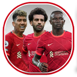 com.Liverpoolanhi.footballplayers